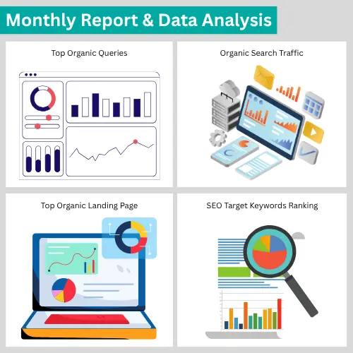 data analysis and monthly reports