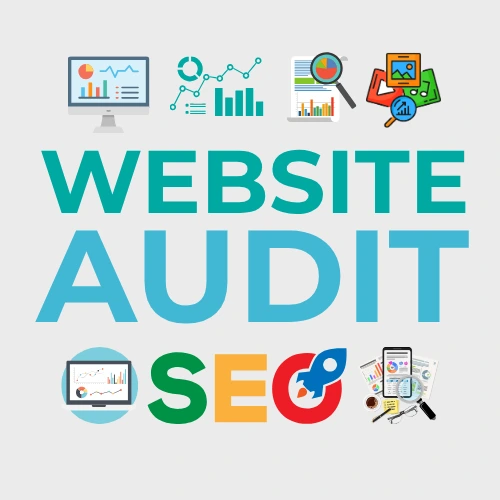 website audit